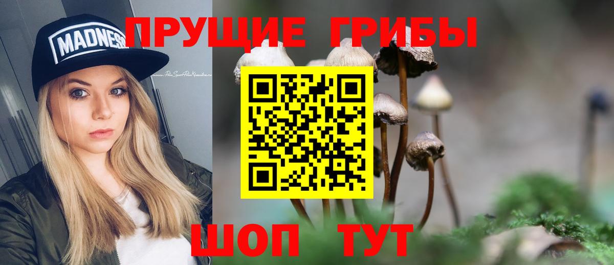 Псилоцибиновые грибы мухоморы  Галлюциногенные грибы мухоморы  Вход с VPN  Кириши 